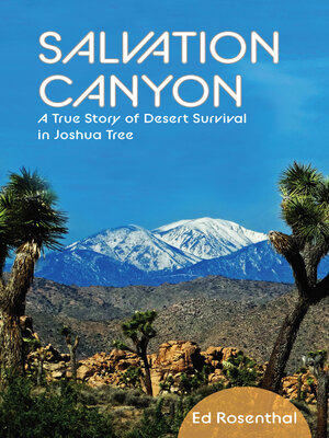 Salvation Canyon - ebook